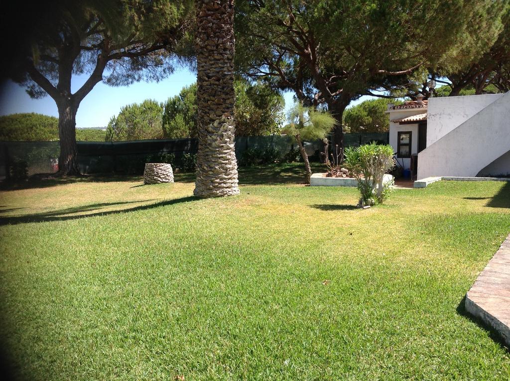Sailing Studio Acoteias Albufeira Eksteriør billede