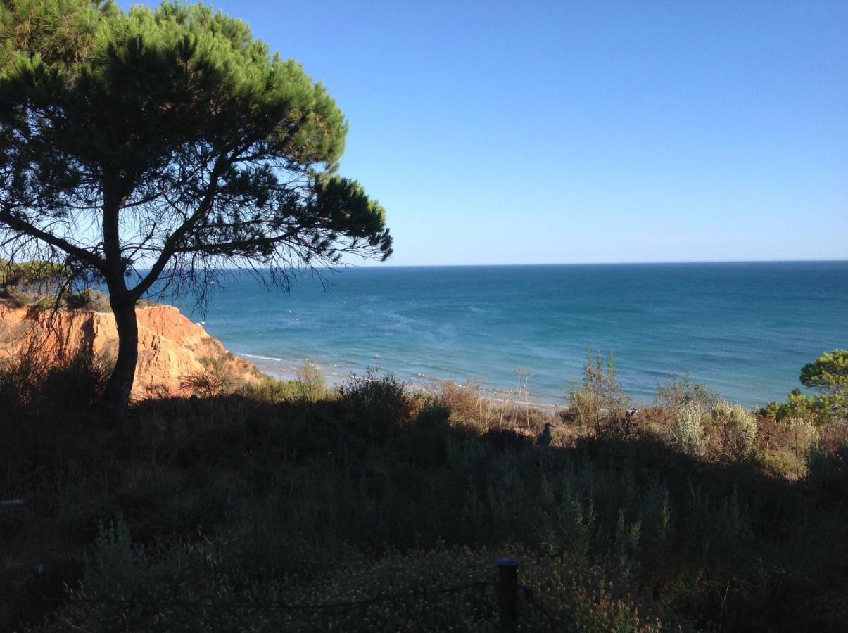 Sailing Studio Acoteias Albufeira Eksteriør billede